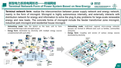 中國電科院 王繼業 新型電力系統的技術問題研究