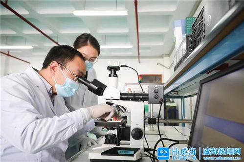 威海市人民政府 今日威海 政策 激活威海 醫字系 產業發展引擎