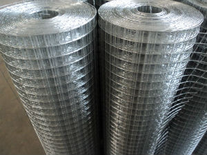 現貨銷售工藝墻面鐵絲網、保溫兔籠與養(yǎng)殖水貂籠網 深州市騰源絲網廠的專業(yè)金屬網解決方案